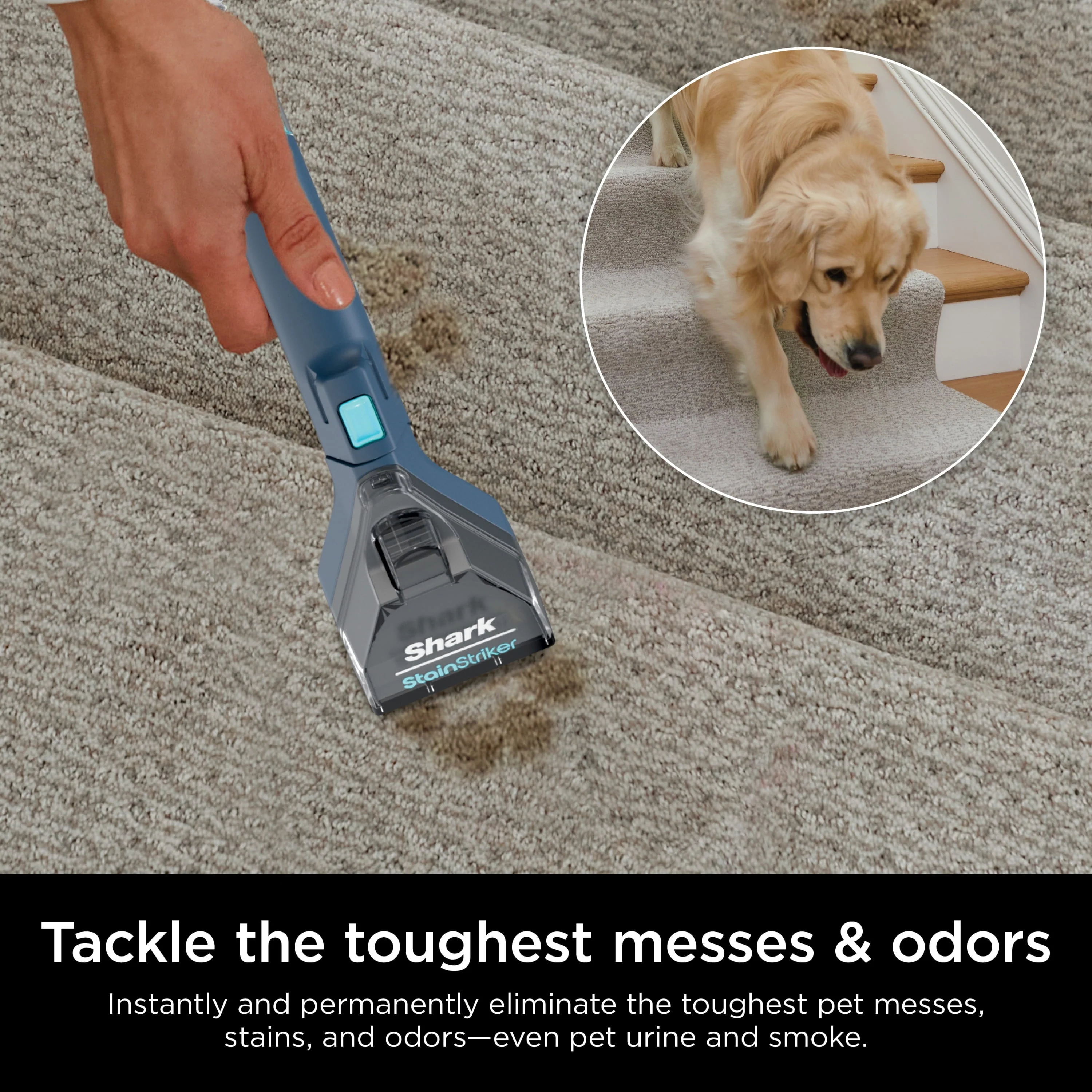 Shark CarpetXpert with StainStriker, Upright Carpet, Area Rug & Upholstery Cleaner for Pets, Built-in Spot & Stain Eliminator, Deep Cleaning & Tough Stain Removal, Carpet Shampooer, Navy, New,EX200